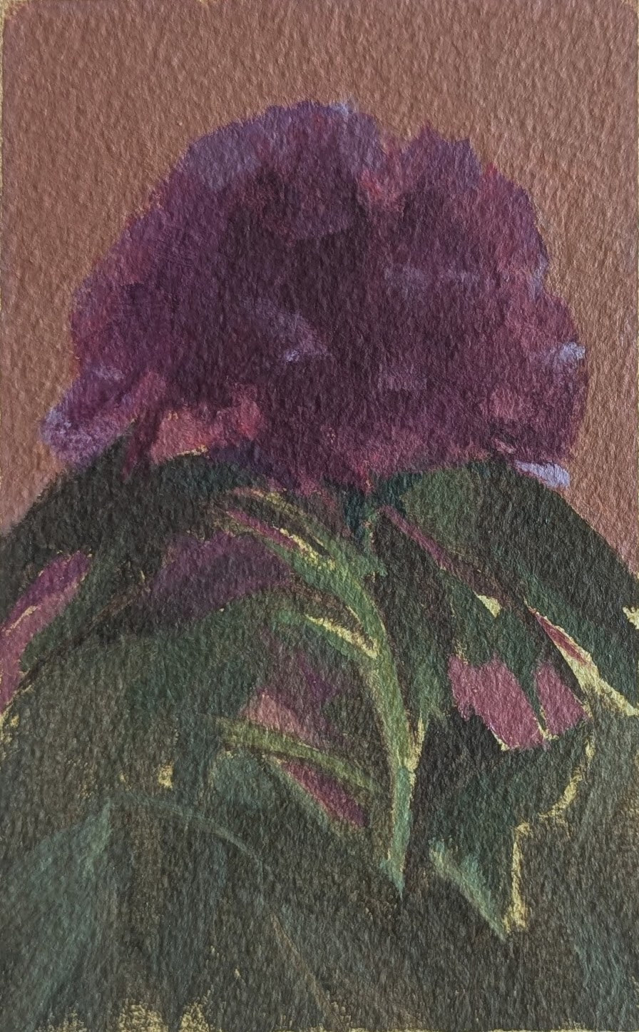 Untitled &mdash; Jasmin Harell